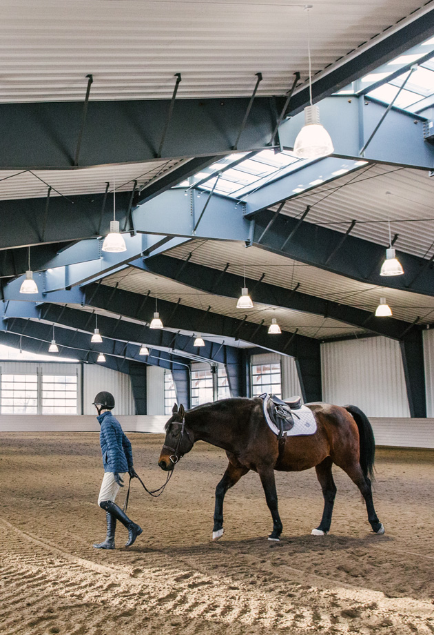 VELUX Modular Skylights create a fresh and healthy barn and arena for horses at play 